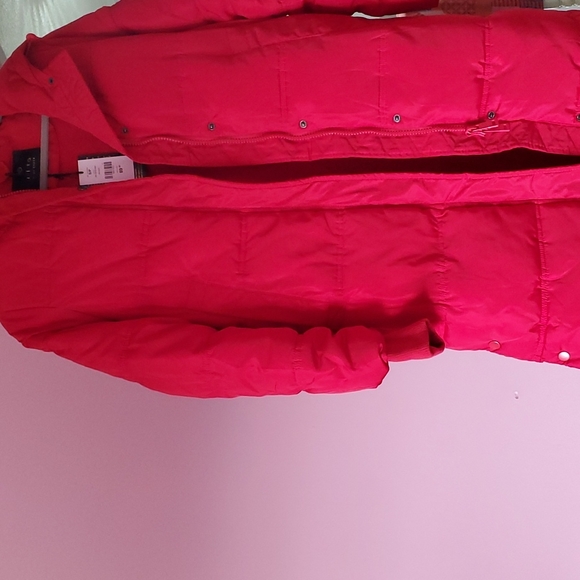 Jacket - Picture 6 of 6